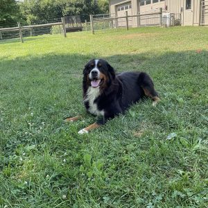 mom